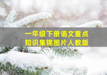 一年级下册语文重点知识集锦图片人教版