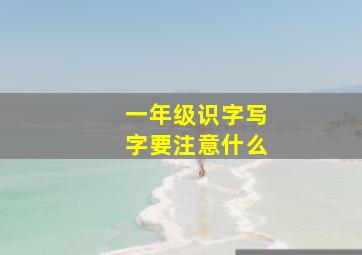 一年级识字写字要注意什么