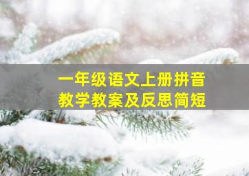 一年级语文上册拼音教学教案及反思简短