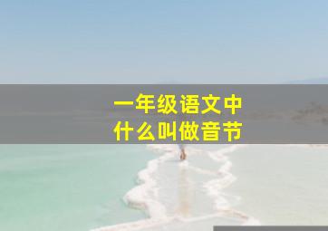 一年级语文中什么叫做音节