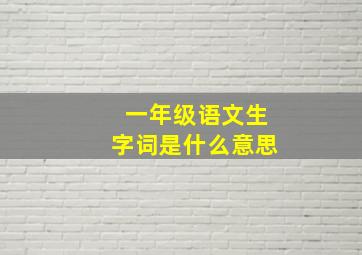 一年级语文生字词是什么意思