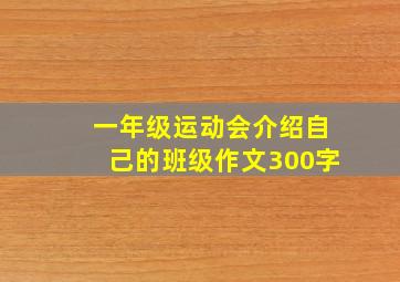 一年级运动会介绍自己的班级作文300字