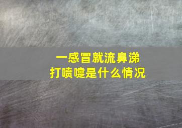 一感冒就流鼻涕打喷嚏是什么情况