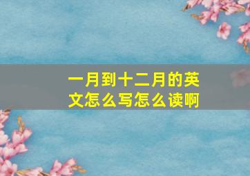 一月到十二月的英文怎么写怎么读啊