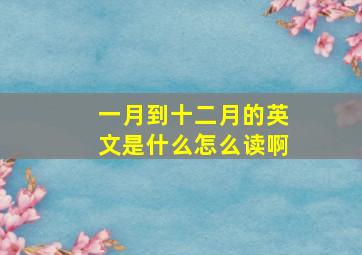 一月到十二月的英文是什么怎么读啊