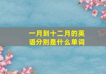 一月到十二月的英语分别是什么单词