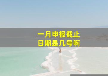 一月申报截止日期是几号啊