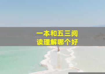 一本和五三阅读理解哪个好