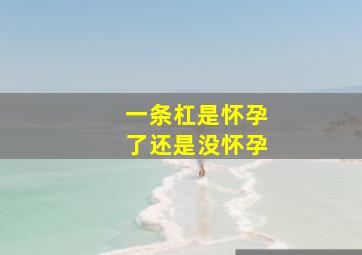 一条杠是怀孕了还是没怀孕