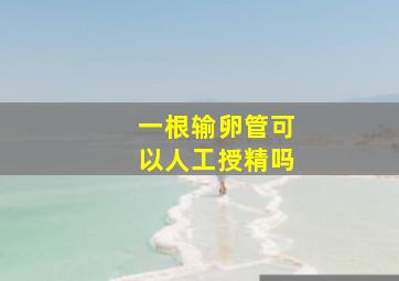 一根输卵管可以人工授精吗