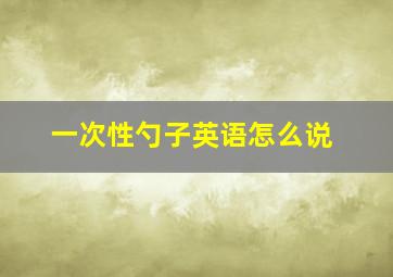 一次性勺子英语怎么说