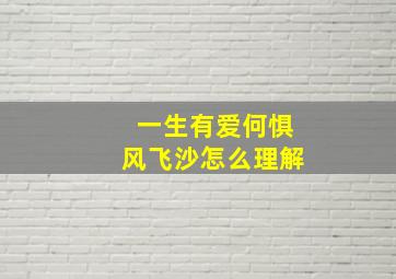 一生有爱何惧风飞沙怎么理解