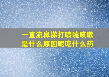 一直流鼻涕打喷嚏咳嗽是什么原因呢吃什么药