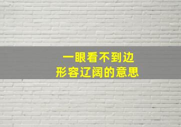 一眼看不到边形容辽阔的意思