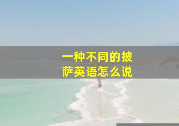 一种不同的披萨英语怎么说