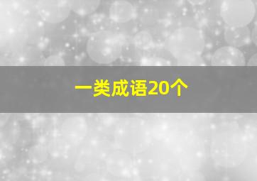 一类成语20个