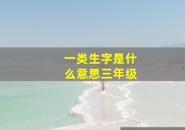 一类生字是什么意思三年级