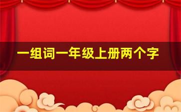 一组词一年级上册两个字