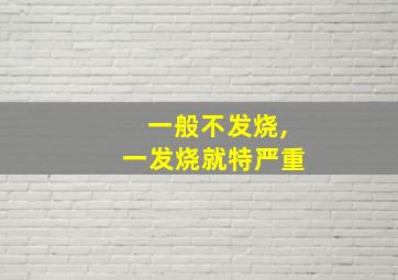 一般不发烧,一发烧就特严重