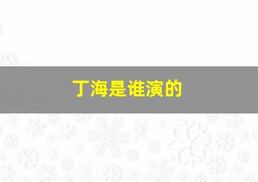 丁海是谁演的