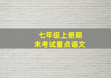 七年级上册期末考试重点语文