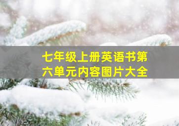 七年级上册英语书第六单元内容图片大全