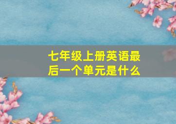 七年级上册英语最后一个单元是什么