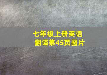 七年级上册英语翻译第45页图片