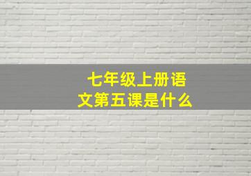 七年级上册语文第五课是什么