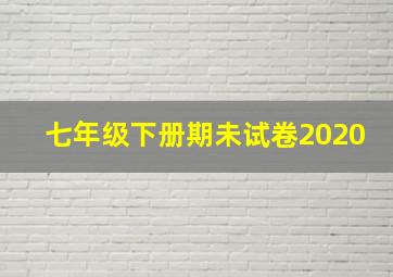 七年级下册期未试卷2020