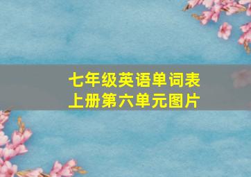 七年级英语单词表上册第六单元图片