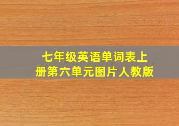 七年级英语单词表上册第六单元图片人教版