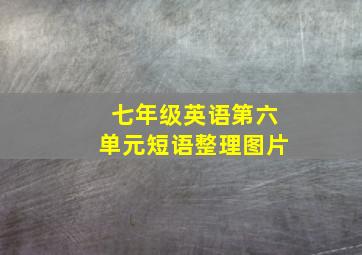 七年级英语第六单元短语整理图片