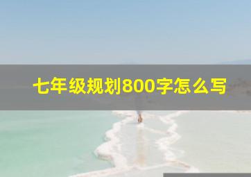 七年级规划800字怎么写