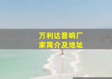 万利达音响厂家简介及地址