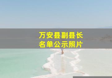 万安县副县长名单公示照片