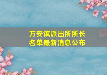 万安镇派出所所长名单最新消息公布