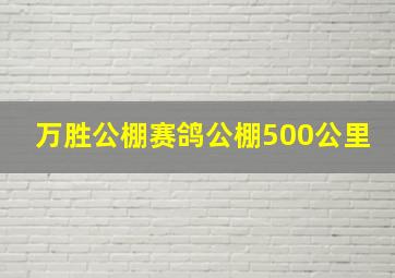 万胜公棚赛鸽公棚500公里