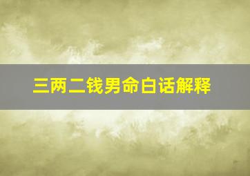 三两二钱男命白话解释