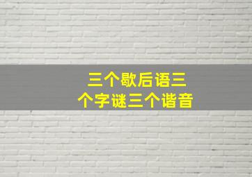 三个歇后语三个字谜三个谐音