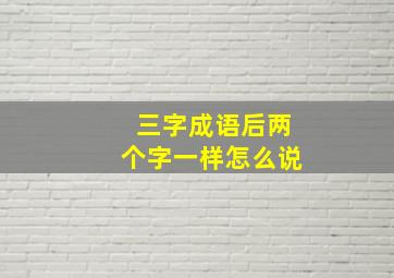 三字成语后两个字一样怎么说