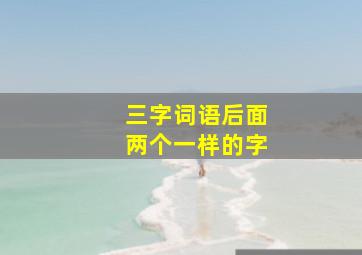 三字词语后面两个一样的字