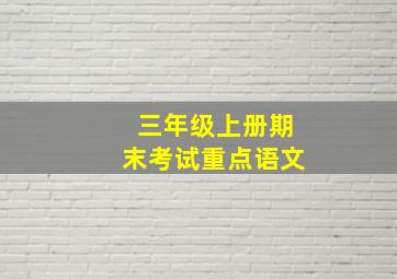 三年级上册期末考试重点语文