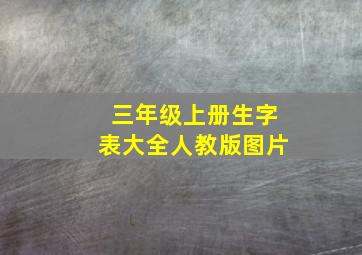 三年级上册生字表大全人教版图片