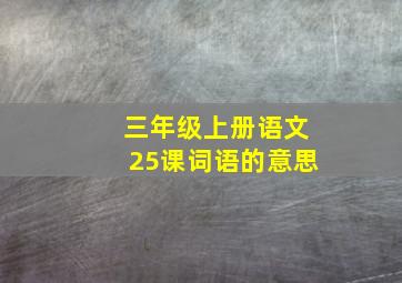 三年级上册语文25课词语的意思