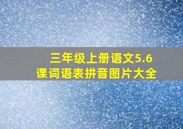 三年级上册语文5.6课词语表拼音图片大全