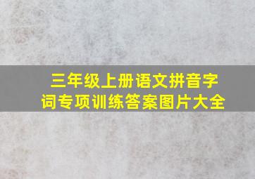 三年级上册语文拼音字词专项训练答案图片大全