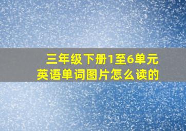 三年级下册1至6单元英语单词图片怎么读的