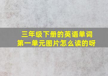 三年级下册的英语单词第一单元图片怎么读的呀