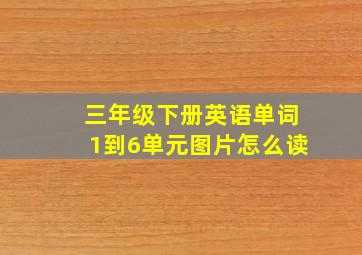 三年级下册英语单词1到6单元图片怎么读